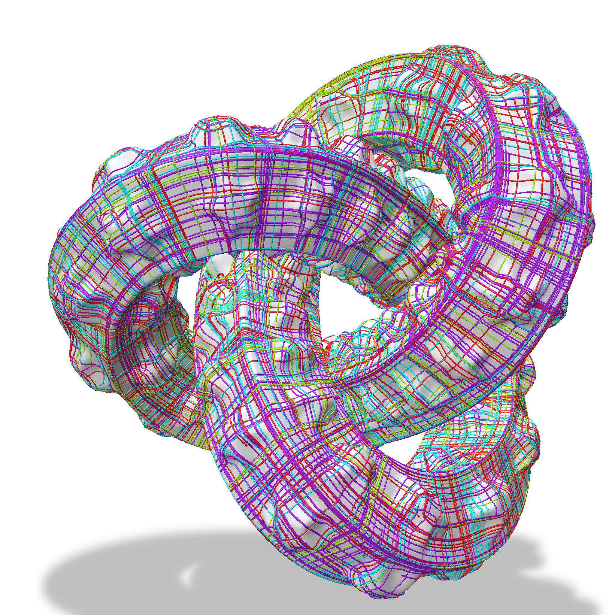 knot100K streamlines