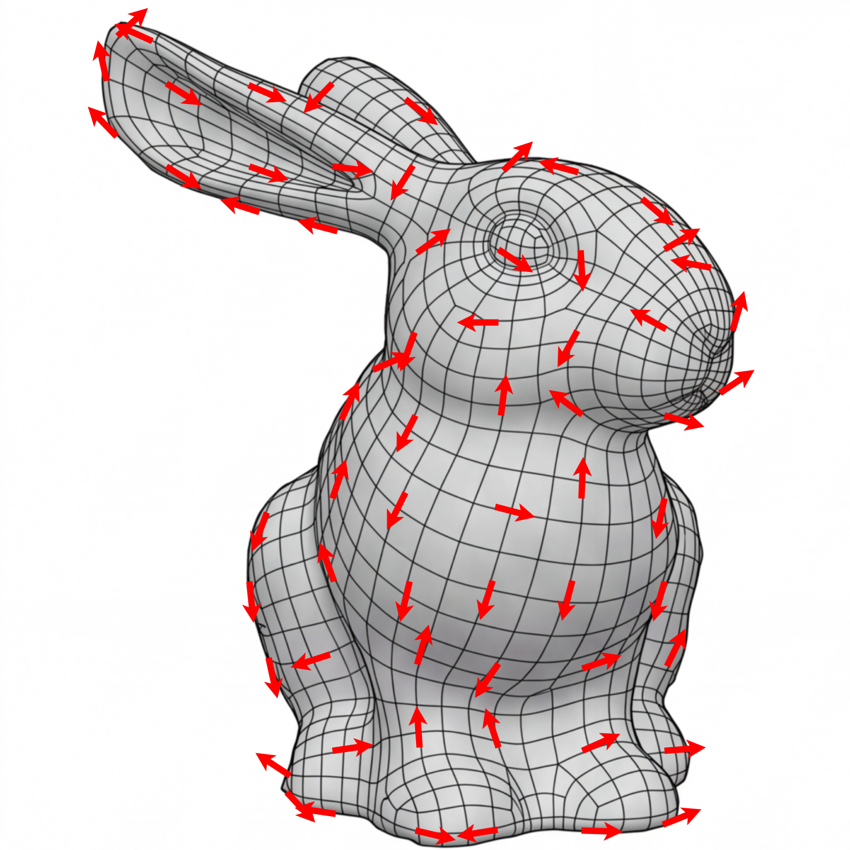 bunny reference image 1