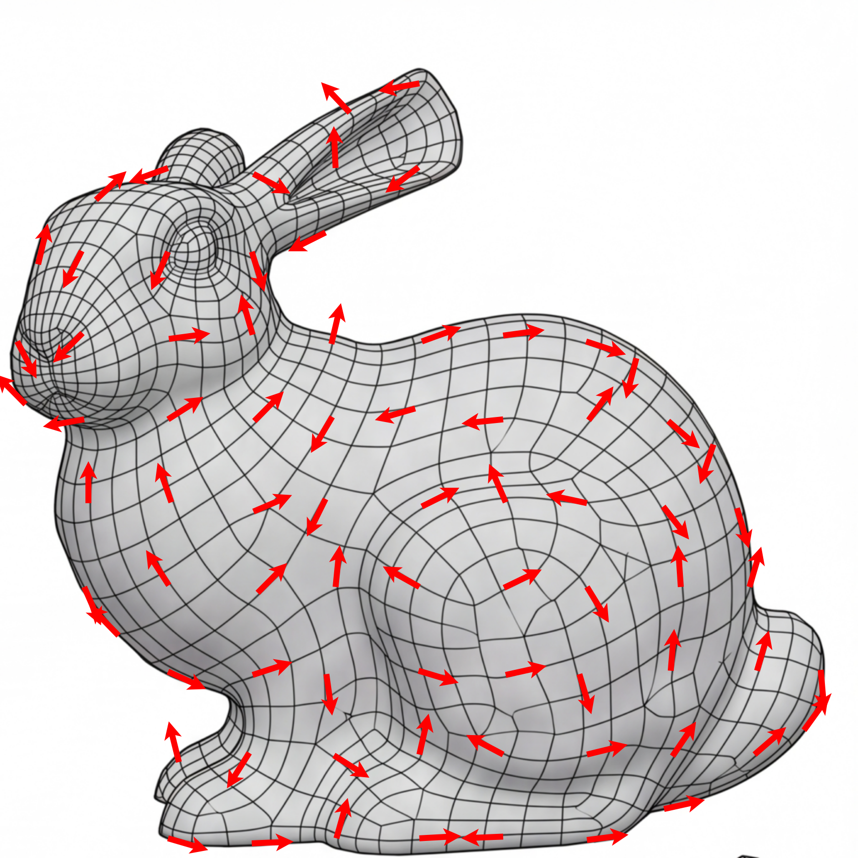 bunny reference image 2
